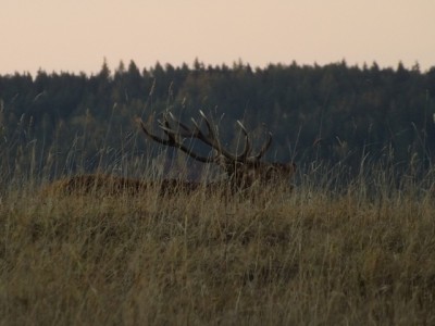 DSCF2548.JPG