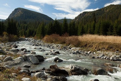 _MG_2453.jpg