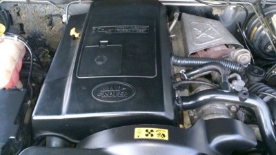 IMG_2013110216822.jpg