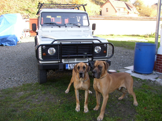 PA301415.JPG