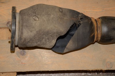 DSC_5253.jpg