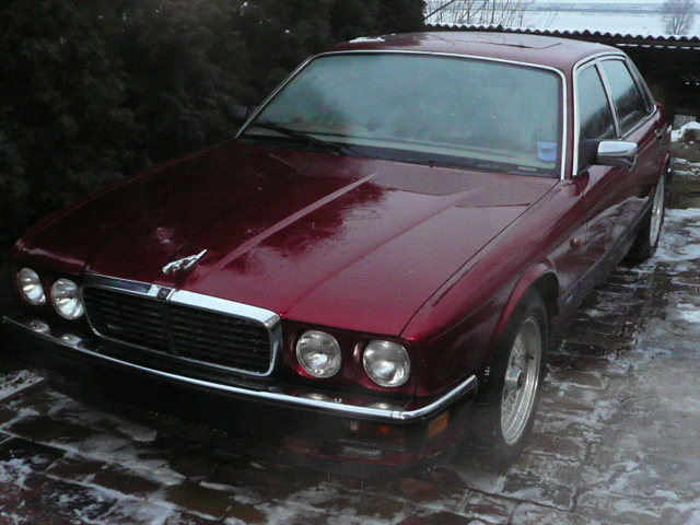 Jaguar sport 008.JPG