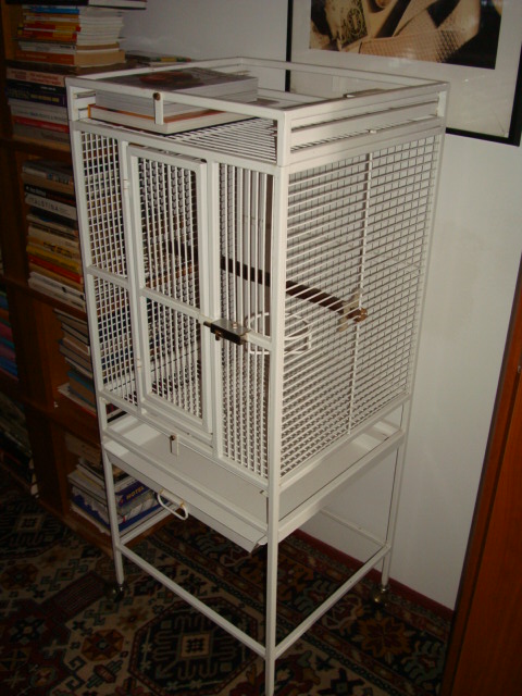 klec1.JPG