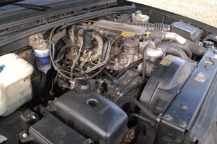 DSC_0531a.JPG