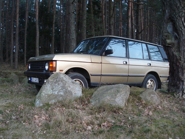 DSC07138.JPG