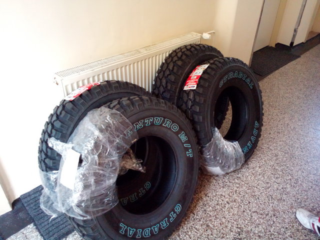 P_20140326_105921.jpg