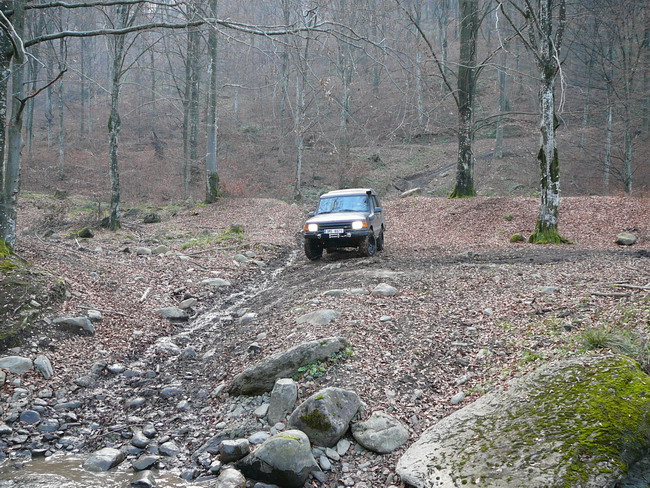 P1060472m.jpg
