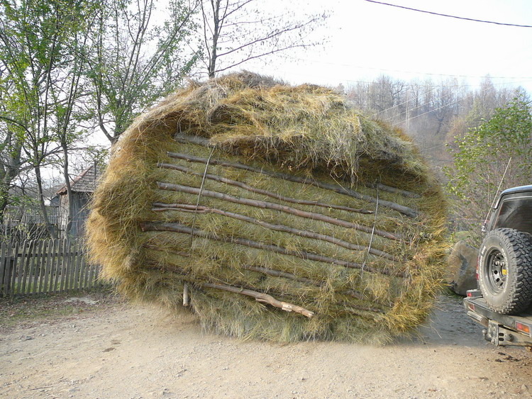 bezpečnost silničního provozu v rumunsku...:-)