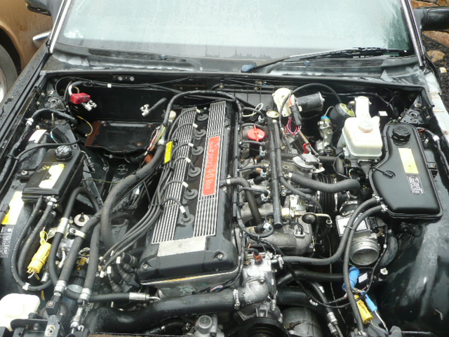 Jaguary 007.JPG