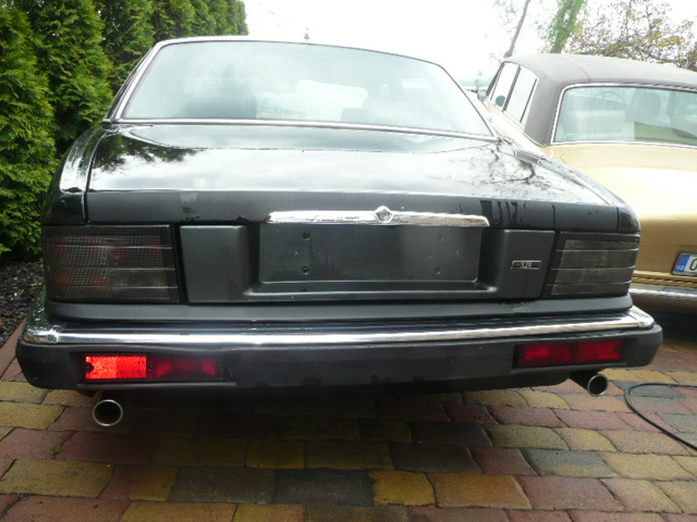 Jaguary 029.JPG