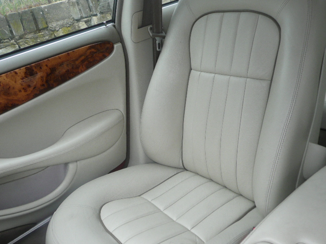 Jaguary 019.JPG