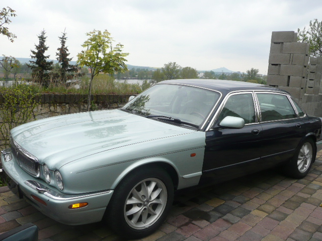 Jaguary 023.JPG