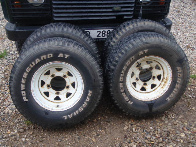P1011285.JPG