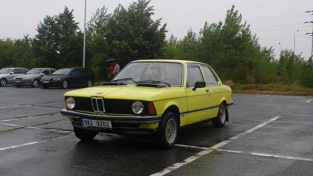 zlutak.JPG