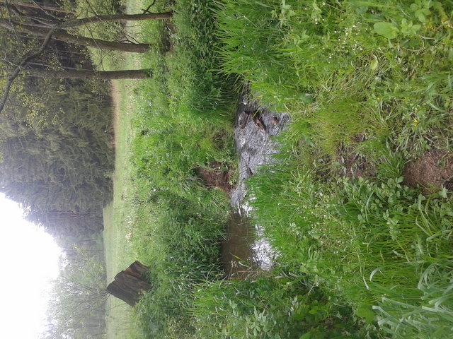 2014-05-18 15.46.06.jpg