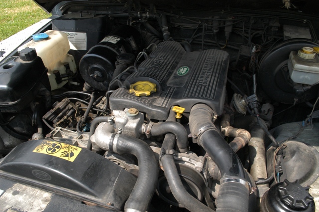 DSC_0645a.JPG
