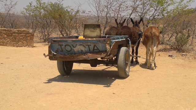 Nesmrtelná Toyota.jpg