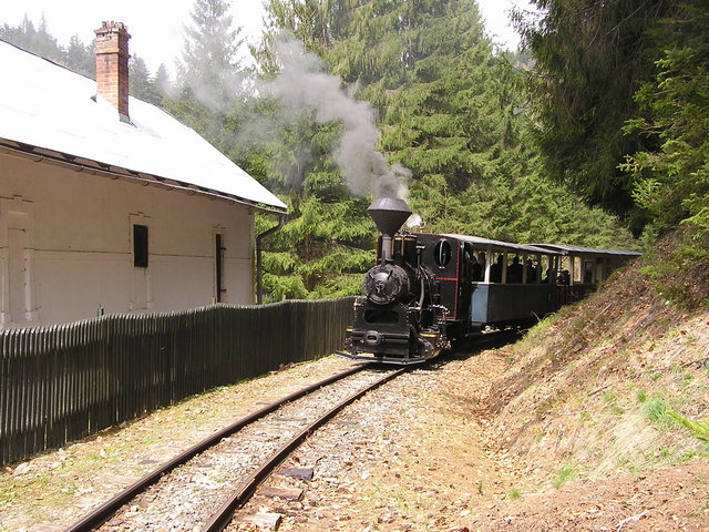 P1010176.JPG