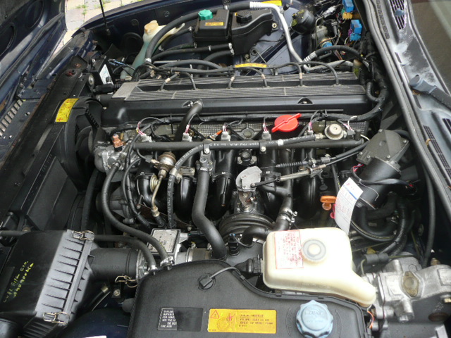 Jaguar 3.2 017.JPG