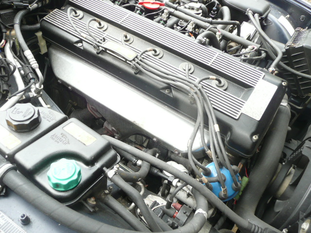 Jaguar 3.2 019.JPG
