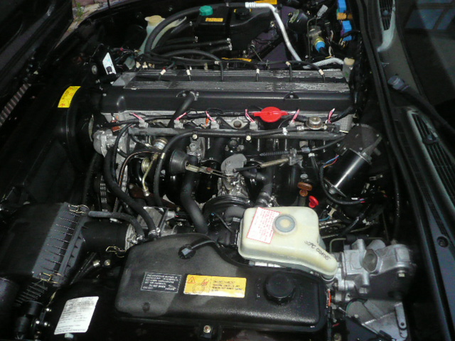 XJ 40 fialový 016.JPG