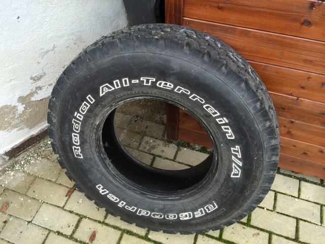 kolo.JPG