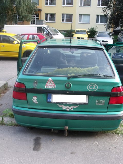 DSCF6207.JPG