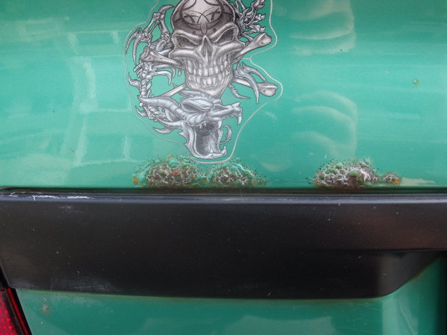 DSCF6208.JPG