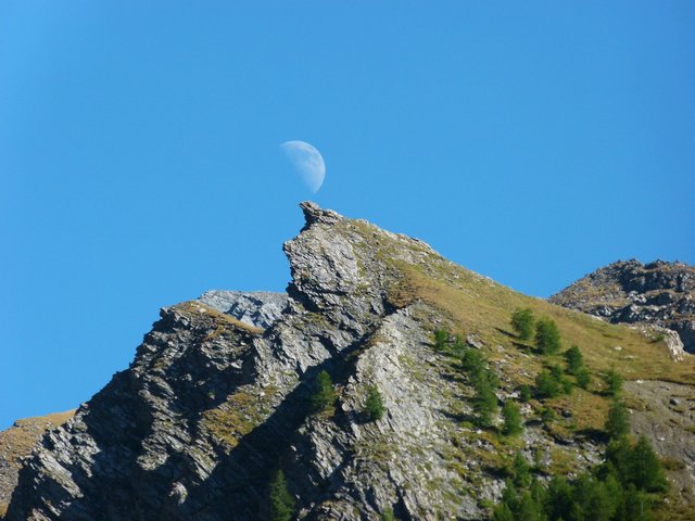 P1230183.jpg (579.35 KiB) Zobrazeno 10888 x P1230183.jpg