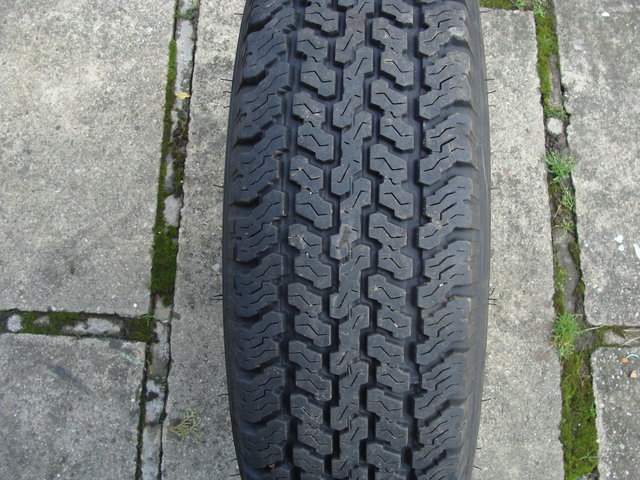 DSC04956.JPG
