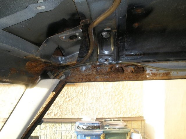 New_P4110020.jpg
