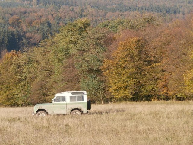 zPA280682.JPG