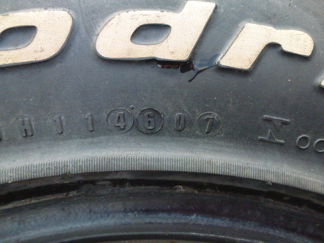 P1030167.JPG