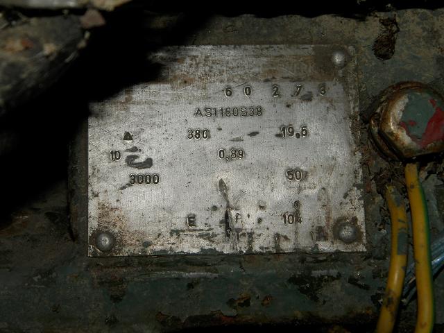 010.JPG