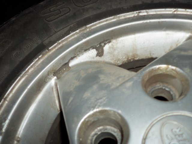 100_0056.JPG