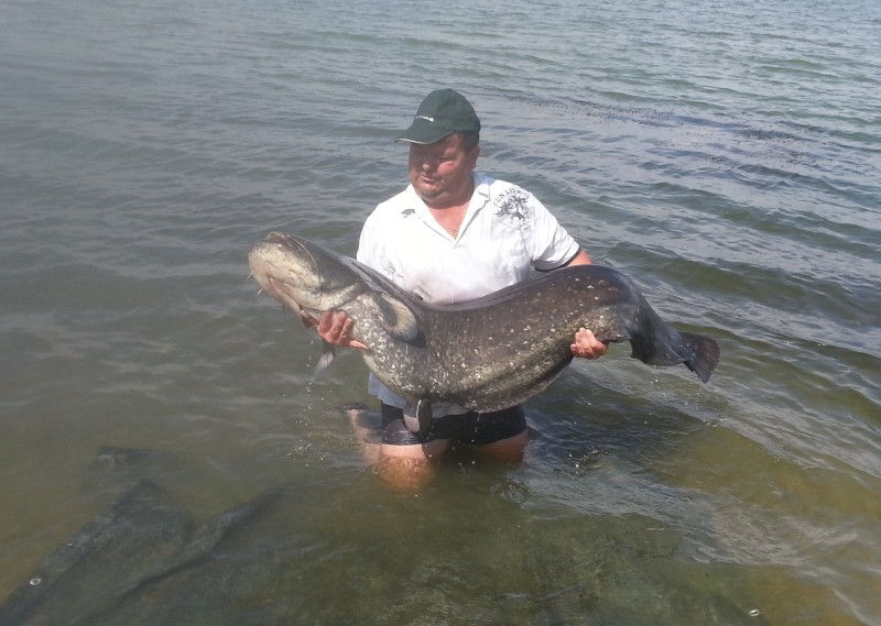 20130720_103444.jpg
