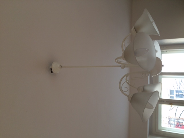 image8.jpeg