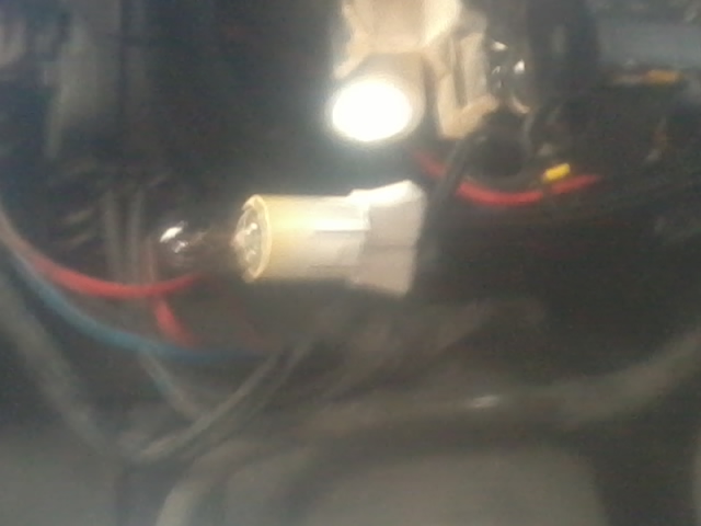 2015-03-15 10.38.59.jpg