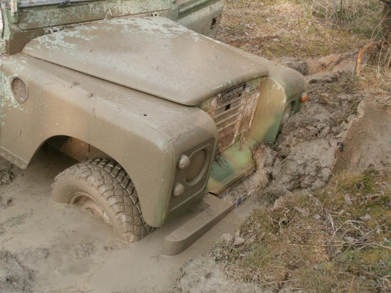 zP4111297.JPG