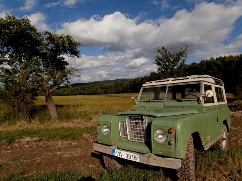 zoP6240002.JPG