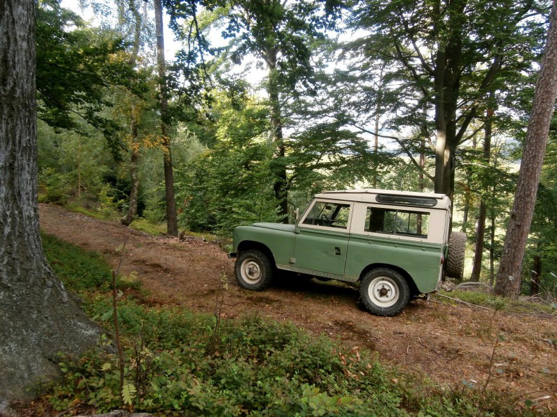 zoP9270523.JPG