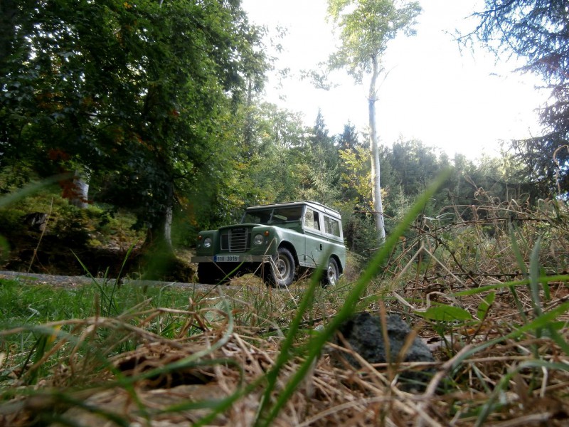 zoP9270529.JPG