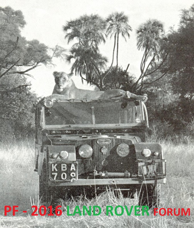 ORIGINAL 4 – kopie.jpg