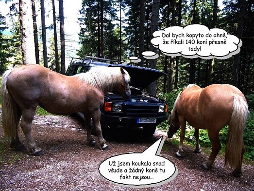 LR koně - kopie.jpg