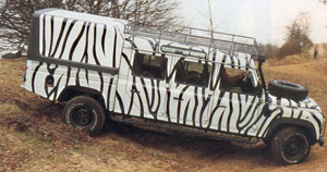 147stripy.jpg