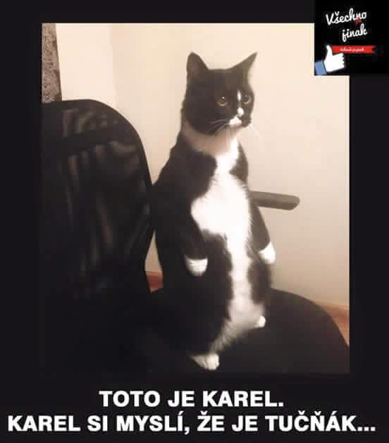karel.jpg