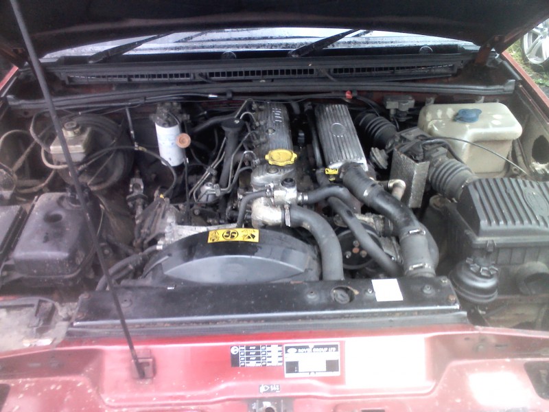IMG00390.jpg