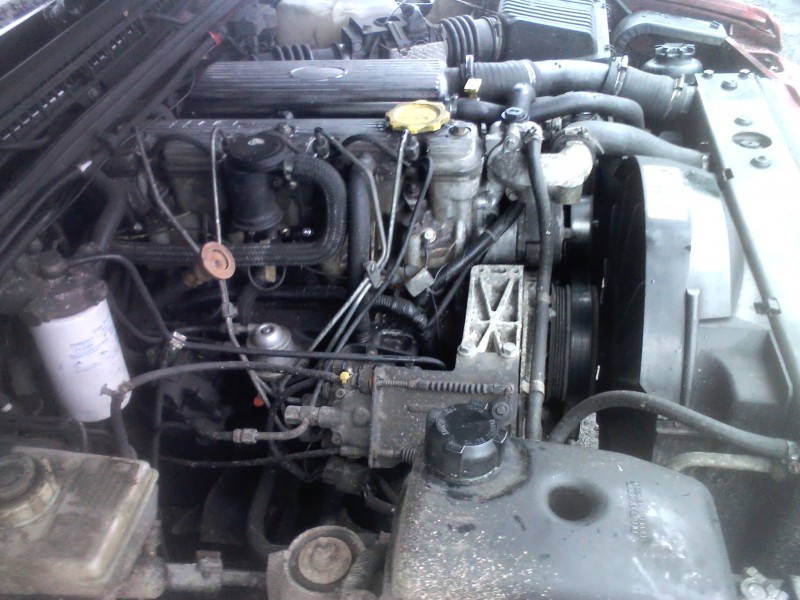 IMG00391.jpg