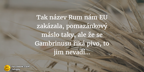 pivo.png