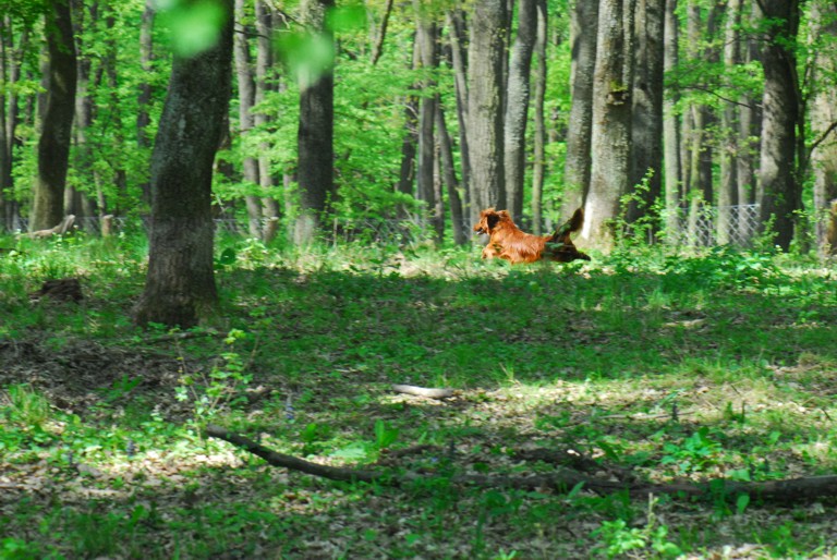 DSC_0200s.jpg